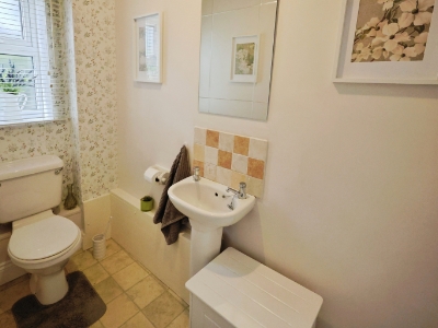 Picture 12